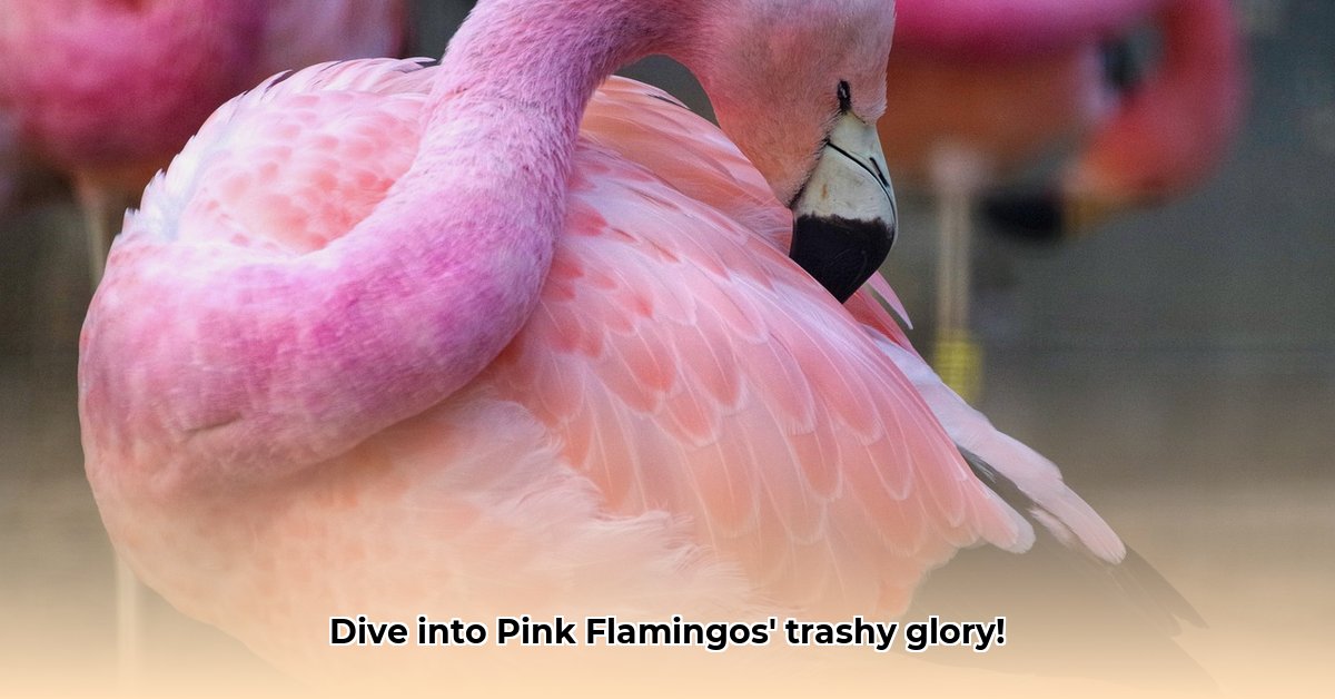 download-flamingo-pink